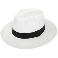 HTP2819WH