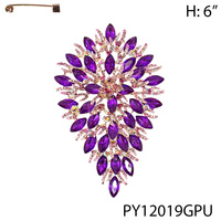 PY12019GPU